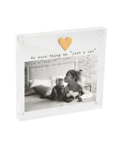 Mud Pie Acrylic Cat Frame - 4x6