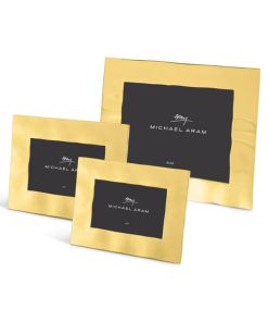 Michael Aram Reflective Gold Frame