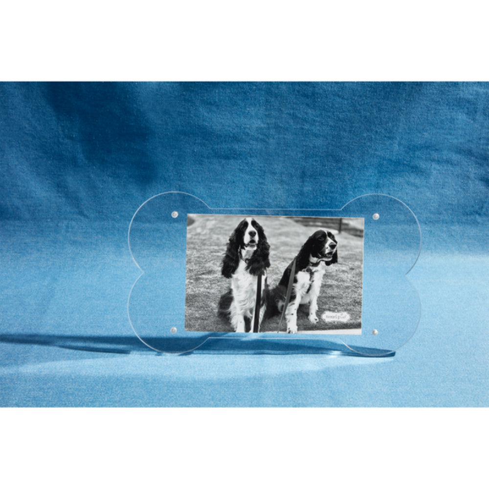 Mud Pie Dog Bone Acrylic Frame - Image 2